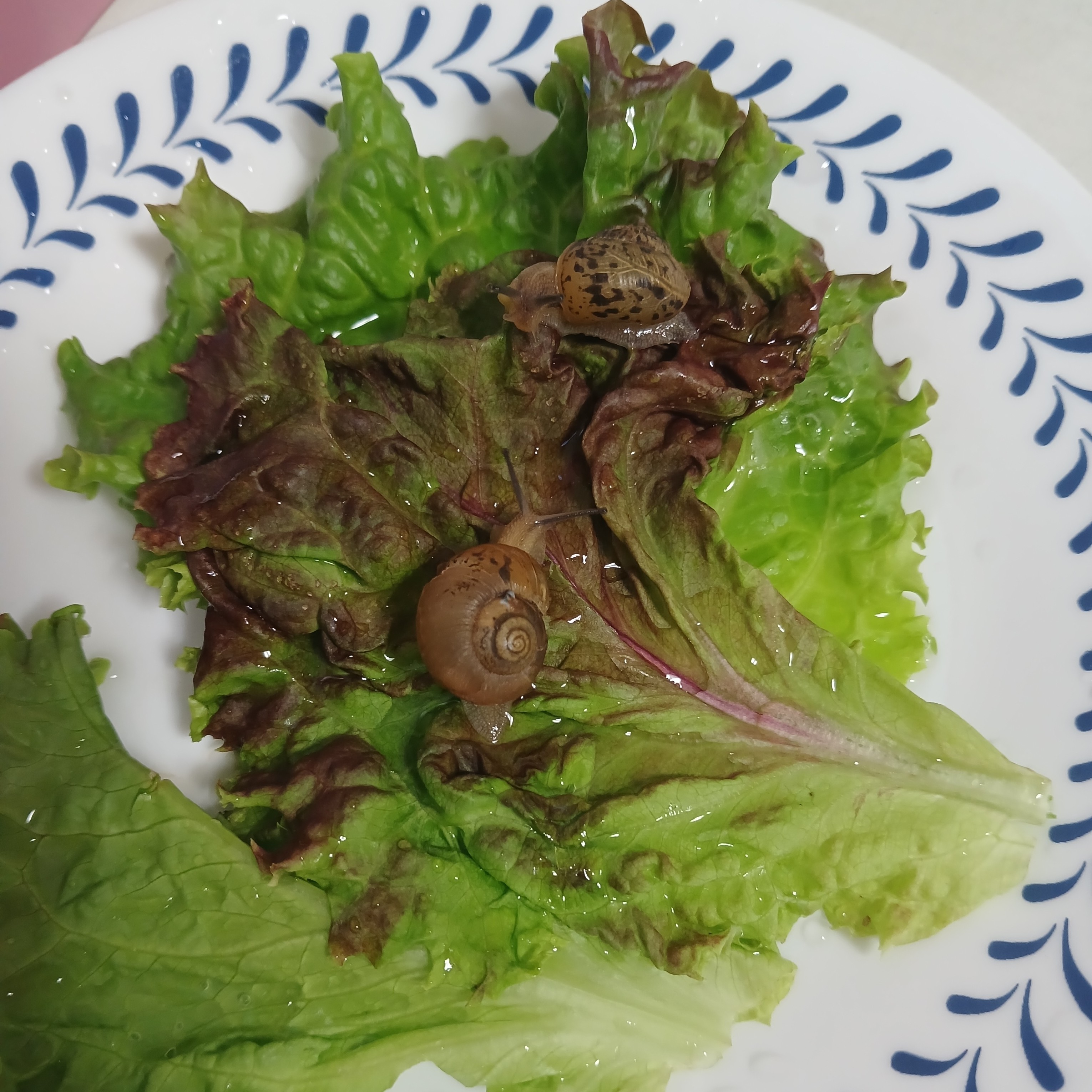 속닥집들이 아주 축하해!♡